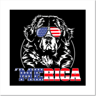 Newfoundland Dog American Flag Merica patriotic dog Posters and Art